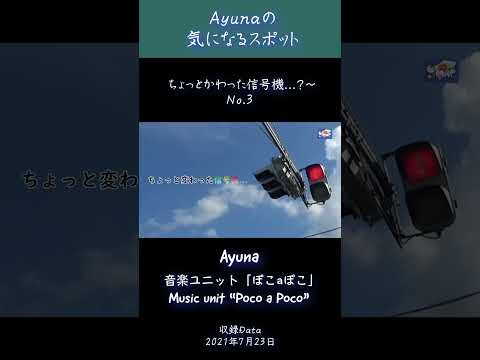 ちょっと変わった信号機…？ No,3 -Ayunaの気になるスポット- #信号機 #双子信号機 #ちょっと変わった信号機