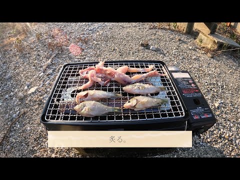 【田舎暮らしvlog】「炙りやⅡ」で外来種を炙る【東三河】