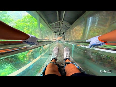 EPIC! Sliding All the Way Down a Mountain & INSANE Glass Bridge | NEVER in America Slide