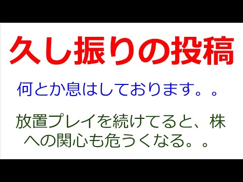 過去に類を見ない暴落を経て、再度、石破発言やエヌビディア独禁法問題で下落。2番底は予想していたが、どこまで下落するのか？ずっと放置プレイを続け、保有株を握りしめ、今後もその方針は不変。