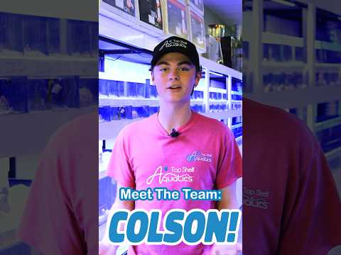 Meet the Team Behind Top Shelf: Colson! #fish #aquarium #behindthescenes