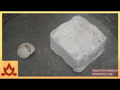 Primitive Technology: Lime