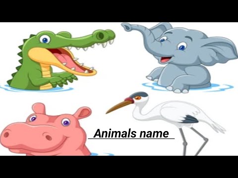 Learn Domestic Animals Name | Domestic Animals Name In English | Animals Name for Preschool Kids