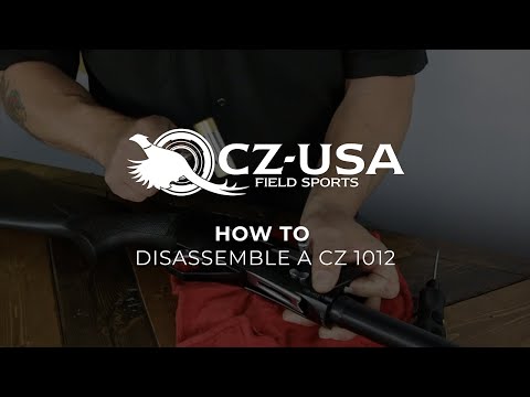 Disassembly of the CZ 1012