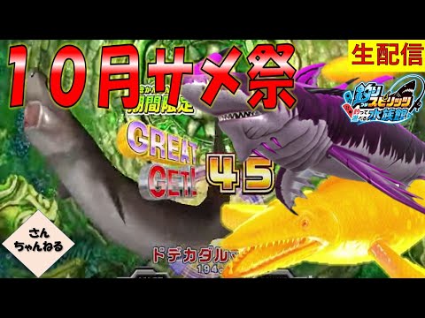 ドデカ祭り！！10月サメ祭り！！ドデカダルマザメ！！釣りスピリッツ 釣って遊べる水族館実況プレイ 【さんちゃん】　生配信