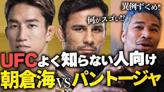 日本人初チャンピオンに!? UFCの狙いと国内MMA市場について。朝倉海vsパントージャ