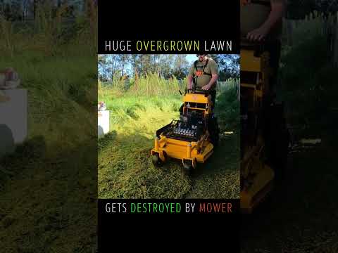 Massive OVERGROWN Lawns Gets Smashed With Zero Turn Mower #shorts