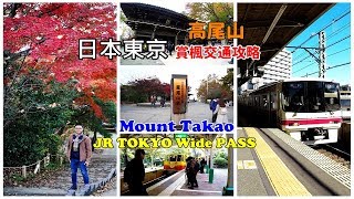 [東京自由行一日遊景點攻略] 賞楓必訪景點高尾山，教你搭JR使用東京廣域周遊券輕鬆到達 | 東京旅遊懶人包