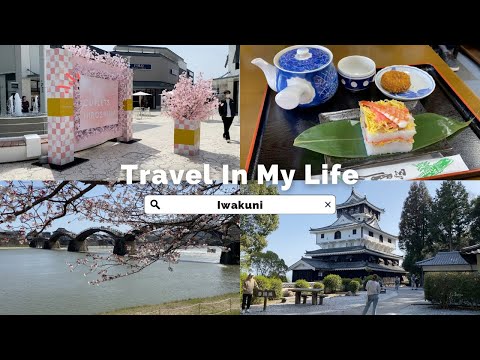 【廣島vlog】山口縣櫻花聖地—錦帶橋、好吃的岩國壽司&蓮藕可樂餅😋、日本種類最多的霜淇淋店🍦俯瞰錦川的岩國城🏯錦帶橋/岩國一日遊、廣島伴手禮開箱