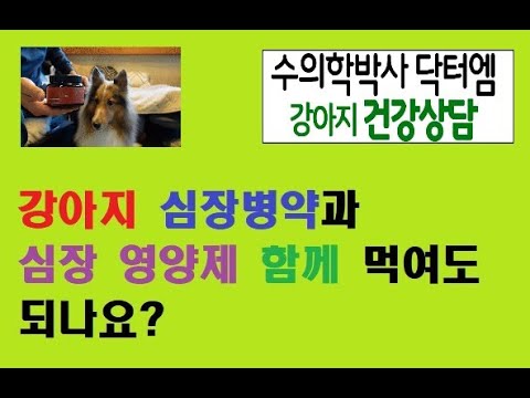 강아지 심장병약과 심장 영양제 함께 먹여도 되나요?