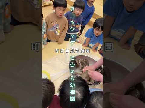 【町田自然幼稚園】タコやシャケに会える幼稚園