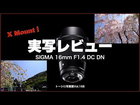 【実写レビュー】SIGMA16mmF1.4 Xマウントはやっぱり買いだ！