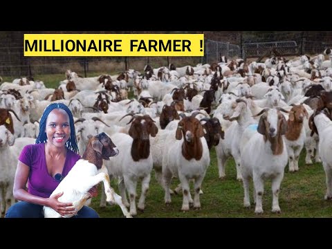 Brilliant ways To Make Money Raising GOATS/Sheep! | Market, Feeding, Farm ROUTINE!