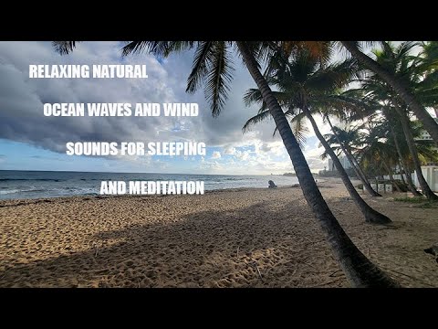 Ocean Waves 4K High Quality Sleep Sound  One Hour Meditation Sleep Relaxation Ocean Sounds for Sleep