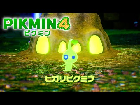 【時戻し禁止】ピクミン史上初の夜の探索に駆り出せ!!!!【ピクミン４】#11