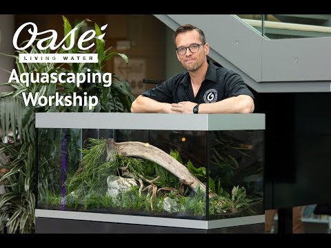 George Farmer OASE HighLine Aquascaping Workshop