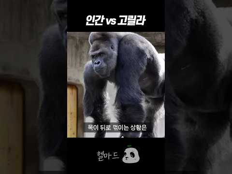 이 정도였다고?