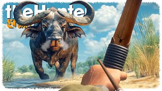 Hunting a MAX LEVEL buffalo with a BOW (ᴵ'ᵐ ˢᶜᵃʳᵉᵈ) | theHunter: Call of the Wild