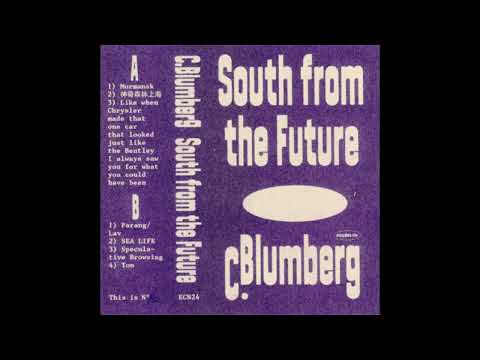 C  Blumberg || South From The Future (2020) Full Album