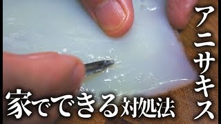 イカのアニサキスの見つけ方と除去する方法