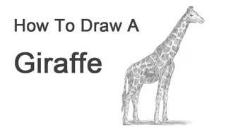 How to Draw a Giraffe