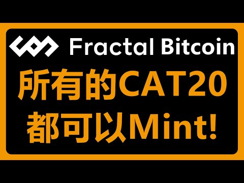 这个网站可以Mint 所有的CAT20代币！CAT20不清楚有没有价值，先上车再说！分形比特币 Fractal Bitcoin #400