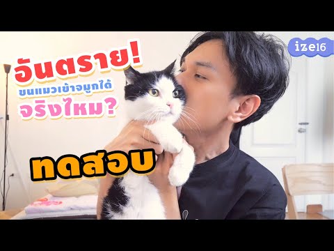 ทดสอบ ขนแมวเข้าจมูกได้จริงไหม?