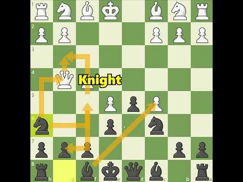 Bobby's Most Tactical Chess Games Compilation