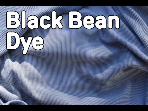 B Creative: Black Bean Dye