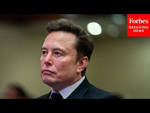 Could Elon Musk Become The Next Speaker Of The House?