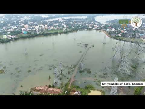 EFI Restored Ottiyambakkam Lake | Cyclone Fengal | Lakes of Chennai.