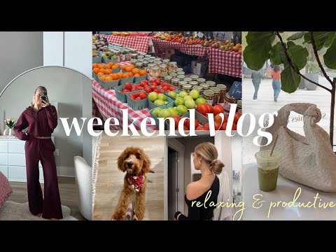 VLOG: tampa winter market, girls night, aritzia haul + try on, Frankie's FIRST haircut!!