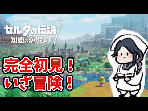 【ゼルダの伝説 知恵のかりもの】最後の試練？は湿地帯！！！！#6【初見】　#vtuber #ゼルダの伝説知恵のかりもの