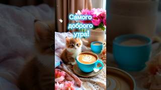 С добрым утром!#shorts