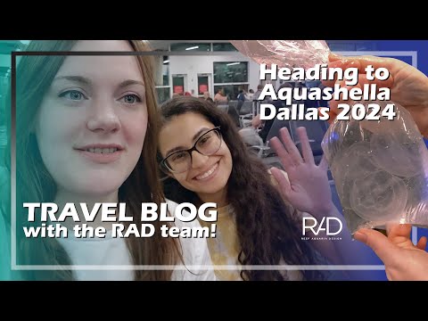 GETTING READY FOR AQUASHELLA DALLAS 2024: JELLYFISH PACKING & BIG ANNOUNCEMENT