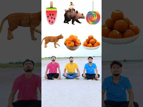 Eating laddu, jalebi, lolipop, icecream, fish, honey, cake vs cat, bear, elephant catching game 😄