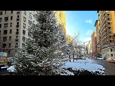 ❄️ Snow in New York City ❄️