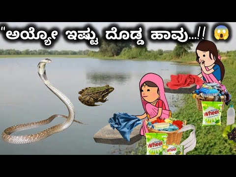 "ದಿನನಿತ್ಯ ಜೀವನದ ಕಥೆ-45/ಬಟ್ಟೆ ಒಗೆಯಲು ಕೆರೆಗ್ ಬಂದ್ರು ಗಂಗಾ & ಸುಶೀಲಕ್ಕ್ /ಅಯ್ಯೋ😱ಹಾವು/ಪರ್ಗಿ ಹಣ್ಣಿಗ್ ಏನಂತೀರಿ