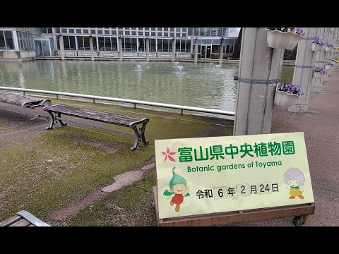 20240224　富山県中央植物園　屋外を散策