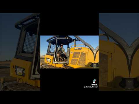 Cat D5 Dozer Arrived at the ranch #shortsvideo #heavyequipment  #pond #cat