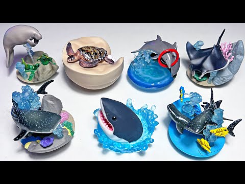 Japan Sea Animals Gashapon - Shark, Whaleshark, Turtle, Manta Ray, Manatee, Dolphin