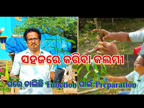 ସହଜରେ କରିବା କଲମୀ🌱ଘରେ Function ପାଇଁ ଚାଲିଛି Preparation@basanta_sir_kitchengarden#youtube#viral