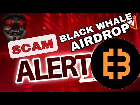 IS BLACK WHALE AIRDROP A 😱😱SCAM #swapblackwhale