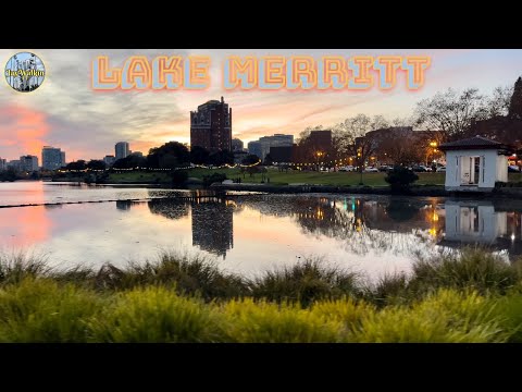 Lake Merritt 🌅| Oakland, California 🇺🇸 [4K]