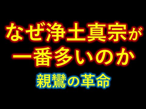 浄土真宗が一番多いのななぜか　親鸞の革命とは