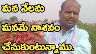 We Are Destroying our Soil Ourselves|Soil Fertility|మన భూమిని మనమే  నాశనం చేస్తున్నాం.