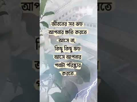 #shortvideo #banglaquatos