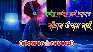 নাইরে নাইরে নাই আমার বাচ্চার উপায় নাই |  naire   naire  amar bachar upai nai | music 2025