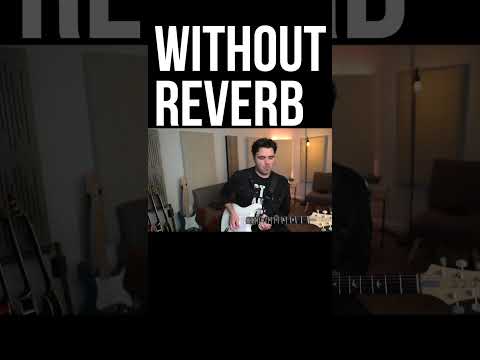 Why You NEED Reverb #guitar #electricguitar #reverb #guitaramp #guitarpedals @NeunaberAudio