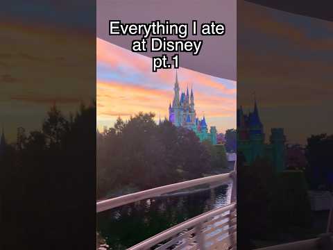 Everything I ate at Disney!